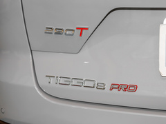 2022款 390T 两驱天穹版 5座