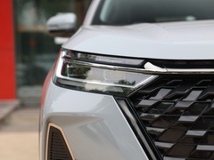 2022款 390T 两驱浩瀚版 5座