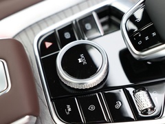 2022款 390T 两驱浩瀚版 5座