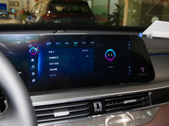 2022款 390T 两驱浩瀚版 7座