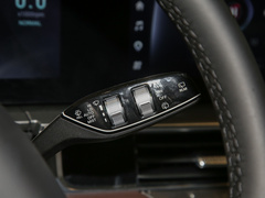 2022款 390T 两驱浩瀚版 7座