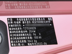 2022款 桃欢喜 香桃款