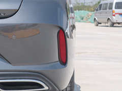 2022款 PLUS 蓝鲸NE 1.4T GDI DCT尊贵版