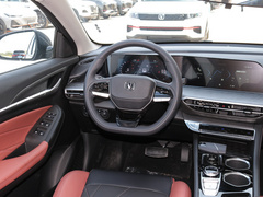 2022款 PLUS 蓝鲸NE 1.4T GDI DCT尊贵版