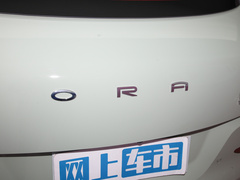 2022款 莫兰迪版 400km标准续航 尊贵型 磷酸铁锂