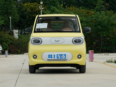 2024款 马卡龙 215km