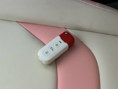 2022款 桃欢喜 甜桃款