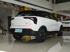 2022款 401KM 玲珑虎 4座
