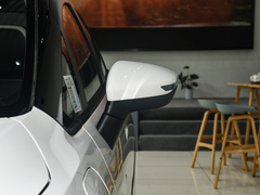 2022款 401KM 玲珑虎 4座