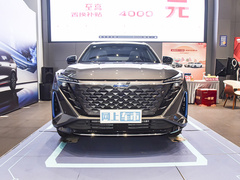 2022款 蓝鲸iDD 150KM旗舰PLUS