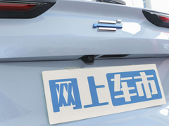 2022款 蓝鲸iDD 150KM旗舰PLUS智慧泊车版