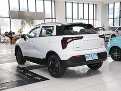 2023款 401KM 闪电虎 5座