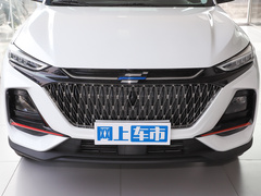 2022款 1.5T 蓝鲸版自动尊享型 7座
