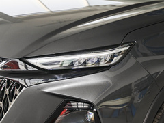 2022款 1.5T 蓝鲸版自动智尊型 7座