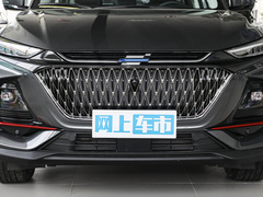 2022款 1.5T 蓝鲸版自动智尊型 7座