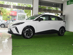 2022款 425km 豪华版