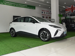 2022款 425km 豪华版