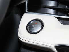 2022款 PLUS 功夫熊猫联名版 1.5T CVT品智型