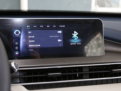 2022款 PLUS 功夫熊猫联名版 1.5T CVT品智型