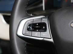 2022款 PLUS 功夫熊猫联名版 1.5T CVT品智型