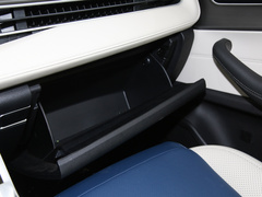 2022款 PLUS 功夫熊猫联名版 1.5T CVT品智型