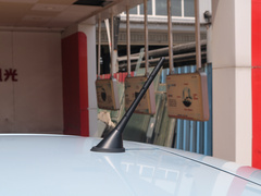 2022款 糖果款 泡泡糖