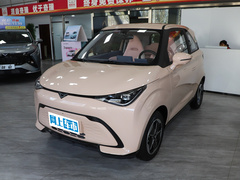 2023款 踏浪版 201km