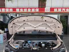 2023款 踏浪版 201km