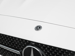 2023款 C 260 L 皓夜运动版