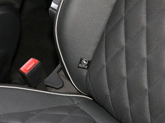 2022款 530TSI 四驱旗舰胜境版Pro 6座