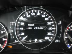 2022款 2.0L 自动嘉悦型