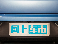 2022款 潮 300 行业定制版