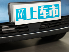 2022款 潮 300 行业定制版