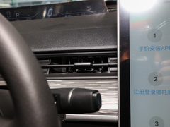 2022款 潮 300 行业定制版