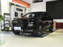 2022款 1.6T DCT王者PRO