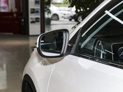 2022款  PLUS 功夫熊猫联名版 1.5L 手动品尚型