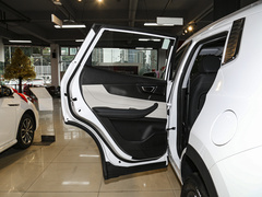 2022款  PLUS 功夫熊猫联名版 1.5L 手动品尚型