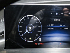 2022款  PLUS 功夫熊猫联名版 1.5L 手动品尚型