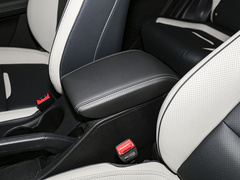 2022款  PLUS 功夫熊猫联名版 1.5L 手动品尚型