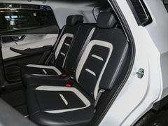 2022款  PLUS 功夫熊猫联名版 1.5L 手动品尚型