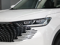 2023款 DHT-PHEV 110KM 悦行版