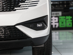2023款 DHT-PHEV 110KM 悦行版