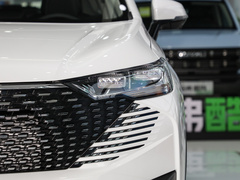 2023款 DHT-PHEV 110KM 悦行版