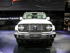2024款 HEV 基本型 