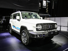 2024款 HEV 基本型 