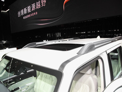2024款 HEV 基本型 