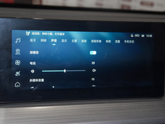 2022款 2.0L DHT电速款
