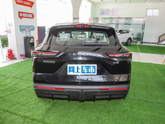 2023款 1.5T DHT闪电01