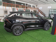 2023款 1.5T DHT闪电01