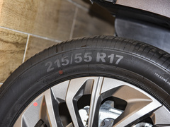 2024款 1.3T PLUG IN 智享版 七座